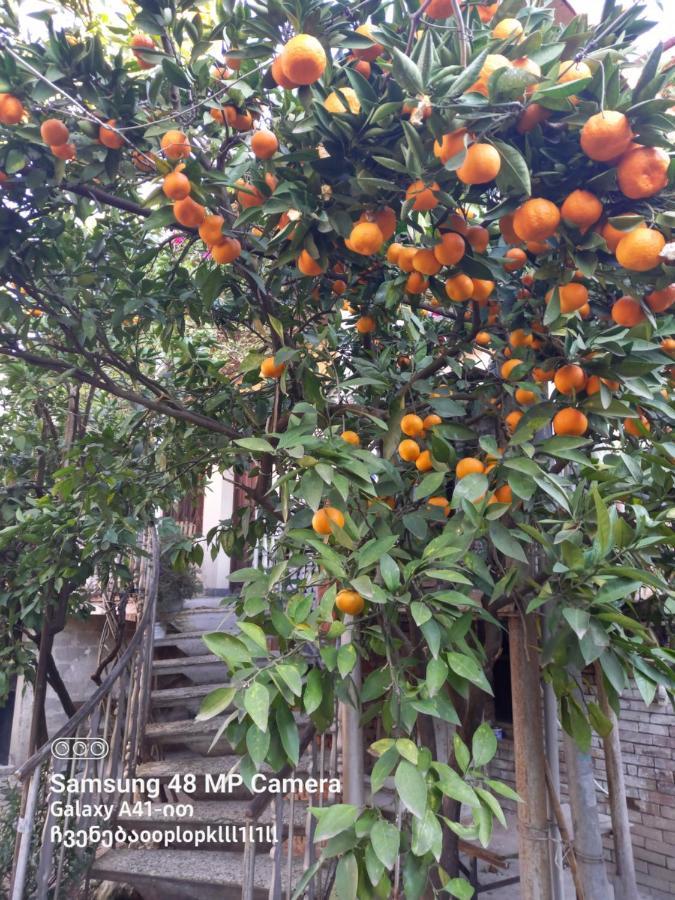 Downtown Guest House Kutaisi Dış mekan fotoğraf