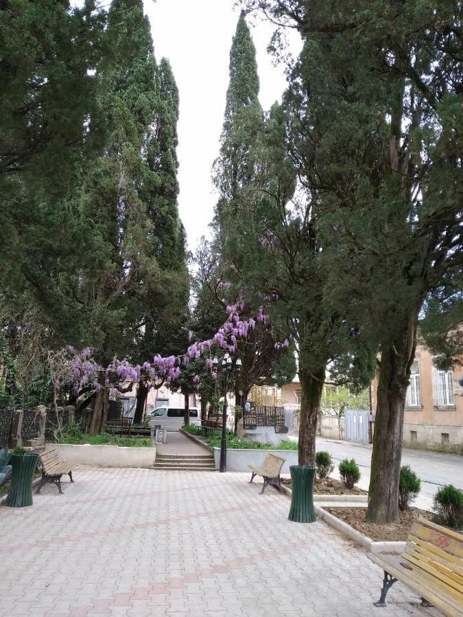 Downtown Guest House Kutaisi Dış mekan fotoğraf